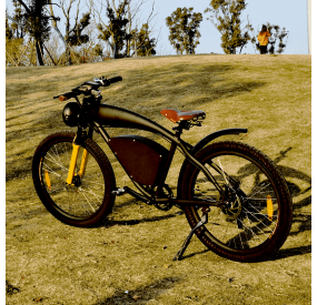 Vélo électrique LOHAS 500W 48V 10.4Ah