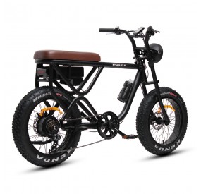 vélo électrique TXED 500W arrière