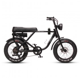 vélo électrique TXED 500W profil