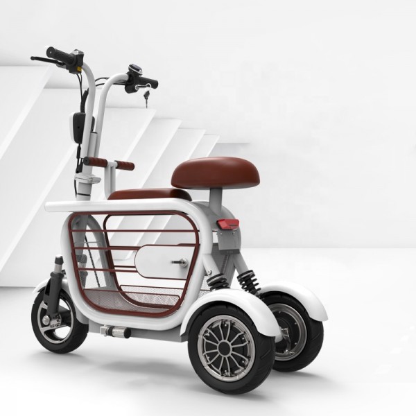 scooter électrique WT-ES02 500W