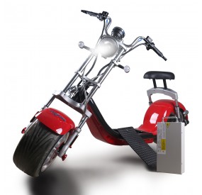 scooter électrique M1 1000 W