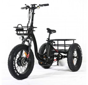 tricycle électrique saili 500W