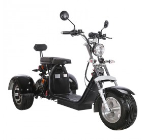 tricycle électrique SC-12 1500W