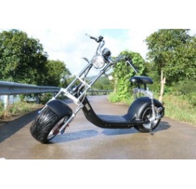 BillyScoot M1- 2000 W route