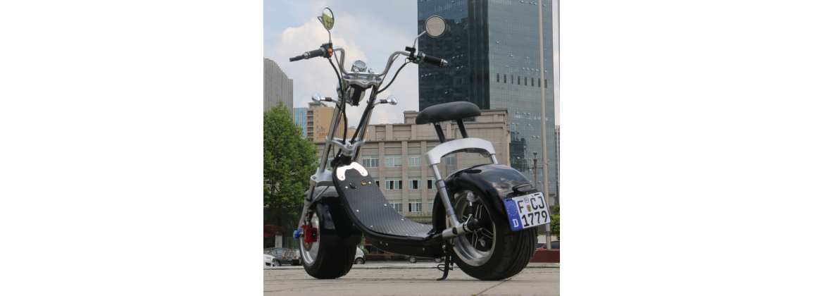 Les scooters électriques avec immatriculation type 50cm3 et 125cm3 thermiques